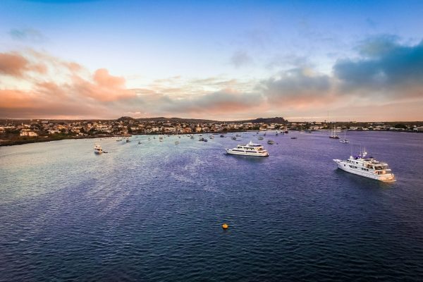 shutterstock_1081780514