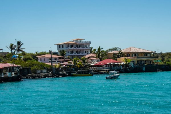 shutterstock_1274639449