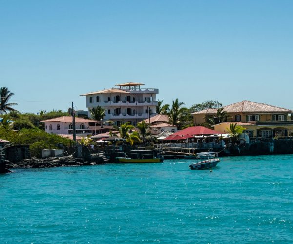 shutterstock_1274639449